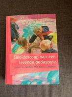 Caleidoscoop pedagogie - Hanne Looij, Ophalen of Verzenden, Gelezen