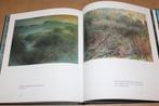 De Biesbosch na de Don-Boscovloed., Ophalen of Verzenden, 20e eeuw of later, Zo goed als nieuw