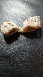 Mooie Geode in twee stukken, Ophalen of Verzenden, Mineraal