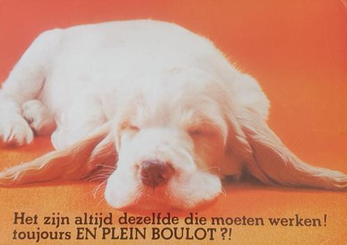 Ansichtkaart liggende hond humor kaart (110), Verzamelen, Ansichtkaarten | Dieren, Gelopen, Hond of Kat, Ophalen of Verzenden