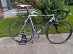 2danger - Rennrad Squadra Race III - 58 cm, Gebruikt, Aluminium, 57 tot 61 cm, Meer dan 20 versnellingen