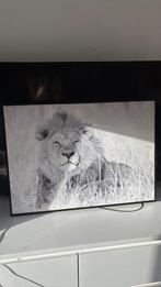 Schilderij leeuw, Ophalen of Verzenden, Zo goed als nieuw, Schilderij, Minder dan 50 cm