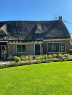 10 meter Polytech dakgoot - klassieke stijl met klossen, Doe-het-zelf en Verbouw, Buizen en Afvoer, Ophalen, Gebruikt, 6 meter of meer