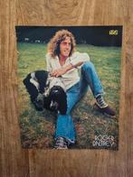 Roger Daltrey poster, Ophalen, Gebruikt, Poster, Artwork of Schilderij