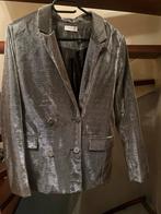 Loavies Zilveren Blazer - Maat M, Kleding | Dames, Jasjes, Kostuums en Pakken, Maat 38/40 (M), Ophalen of Verzenden, Zo goed als nieuw