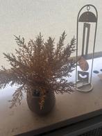Gouden Decoratie Set: Plantje & Beeldje, Overige soorten, In pot, Minder dan 100 cm, Groene kamerplant