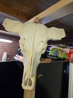 Decoratieve schedel, Ophalen, Dierenbeeld, Gebruikt, Onbekend