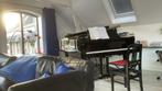 Steinway c vleugel 227 cm , nauwelijks gebruikt, nieuwstaat, Muziek en Instrumenten, Piano's, Verzenden, Zo goed als nieuw, Zwart