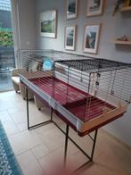 Hij voor cavias of konijnen, Dieren en Toebehoren, Ophalen, 110 cm of meer, Zo goed als nieuw, 90 cm of meer