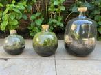 planten terrarium (3 glazen flessen), Huis en Inrichting, Kamerplanten, Ophalen, Overige soorten, Minder dan 100 cm