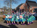 Carnaval loopgroep 13 elfjes, Drie personen of meer, Meerdaags
