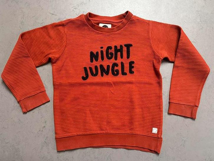 Sproet en Sprout sweater maat 5/6 jaar, Kinderen en Baby's, Kinderkleding | Maat 110, Gebruikt, Jongen, Trui of Vest, Ophalen of Verzenden