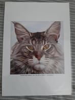 Carolien Klein Goldewijk kattenposter, Ophalen of Verzenden