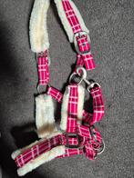 Te koop halster Qhp pony roze nieuw, Ophalen, Nieuw, Overige soorten