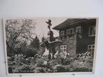 8764-5 Esbeek, fontein bij Rust-Oord 1953 fotokaart, Verzenden, 1940 tot 1960, Gelderland