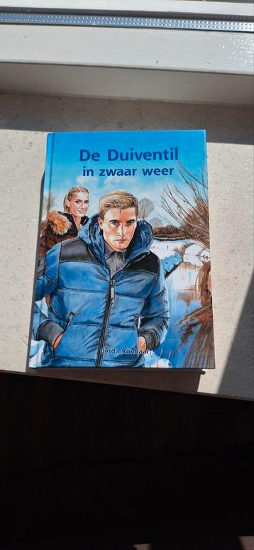 Gerda Ronhaar - De Duiventil in zwaar weer beschikbaar voor biedingen