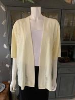 Vintage vest maat XXL, Kleding | Dames, Grote Maten, Douwenmaat 8-3 Meppel, Info@again.nu, Ophalen of Verzenden, Gedragen