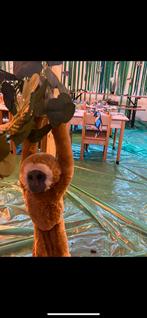 Jungle Safari thema decoratie knuffels & Ballonen aap tijger, Kinderen en Baby's, Speelgoed | Knuffels en Pluche, Ophalen of Verzenden