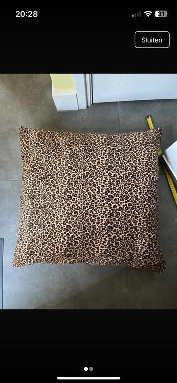Woon kussen 65-65 beschikbaar voor biedingen