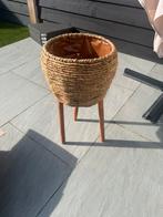 Bloempot, Ophalen, Kunststof, Minder dan 30 cm, Rond