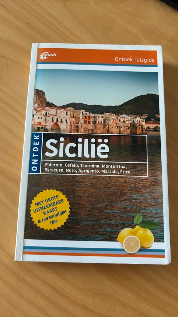 Caterina Mesina - Sicilië, Boeken, Reisgidsen, Zo goed als nieuw, Europa, ANWB, Ophalen of Verzenden
