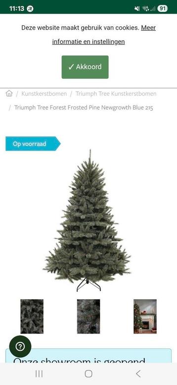 Triumph tree frostet blue  beschikbaar voor biedingen