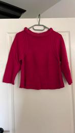 Karin miller maat s, Kleding | Dames, Tops, Ophalen of Verzenden, Zo goed als nieuw