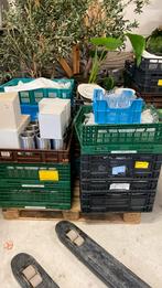 2 pallets diverse glaswerk/borden E.D, Ophalen