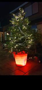 Design Kerst BLOOM bloempot, Ophalen, Rond, Tuin, Minder dan 30 cm