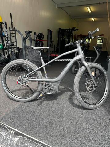 Serial 1 Mosh City e-bike  - Large - Zo goed als nieuw beschikbaar voor biedingen