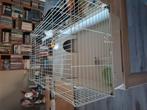 Nieuwe cavia kooi, Kooi, Zo goed als nieuw, 75 tot 110 cm, Cavia