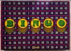 Bingo spel Papita met kaarten COMPLEET, Hobby en Vrije tijd, Gezelschapsspellen | Overige, Een of twee spelers, Ophalen of Verzenden