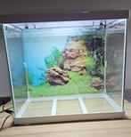 Aquarium, Dieren en Toebehoren, Vissen | Aquaria en Toebehoren, Ophalen, Leeg aquarium