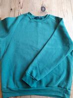 Groene sweater Stieglitz maat M, Kleding | Dames, Maat 38/40 (M), Stieglitz, Ophalen of Verzenden, Zo goed als nieuw
