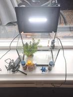 Aquarium met licht verwarmingselement pomp, Ophalen, Zo goed als nieuw, Leeg aquarium