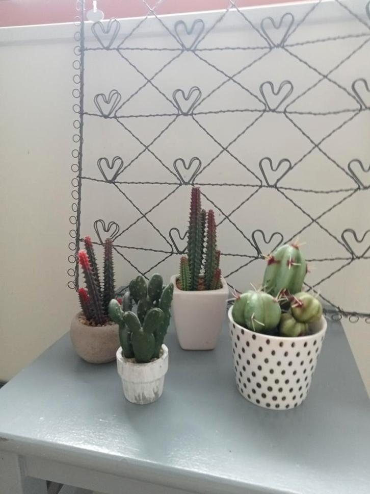 Kunst cactussen, Huis en Inrichting, Woonaccessoires | Kunstplanten en Kunstbloemen, Zo goed als nieuw, Binnen, Buiten, Ophalen of Verzenden
