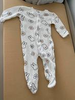 Boxpakje nijntje, Zeeman, Meisje, Nieuw, Ophalen of Verzenden
