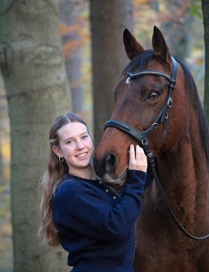 Paarden en pony’s trainen/beleren/doorrijden, Dieren en Toebehoren, Stalling en Weidegang, Stalling, Weidegang, Toebehoren, 2 of 3 paarden of pony's