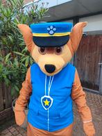 Mascotte pak van chase te huur, Hobby en Vrije tijd, Feestartikelen | Verhuur, Ophalen of Verzenden, Zo goed als nieuw, Overige