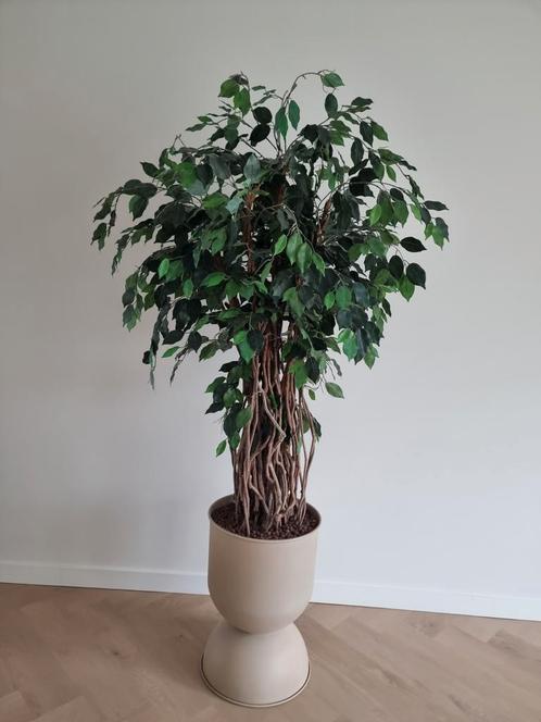 Design plant met stijlvolle plantenpot, Huis en Inrichting, Woonaccessoires | Kunstplanten en Kunstbloemen, Zo goed als nieuw
