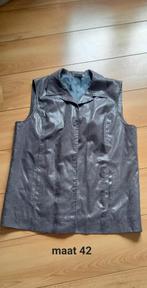 Dun gilletje, Kleding | Dames, Ophalen of Verzenden, Zo goed als nieuw, Maat 42/44 (L)