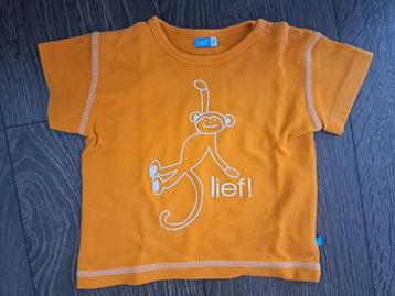 Shirt  Lief!  -  74  jusa17 beschikbaar voor biedingen