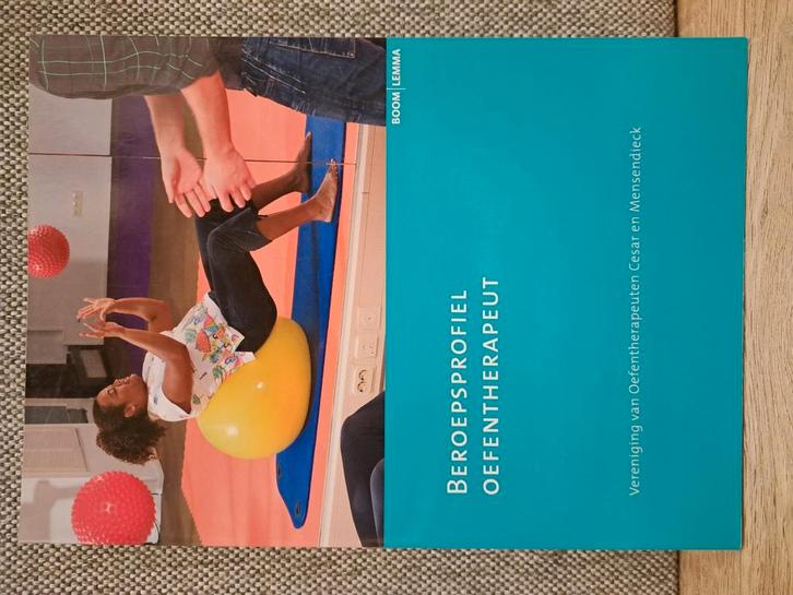 Beroepsprofiel Oefentherapie, Boeken, Wetenschap, Zo goed als nieuw, Sociale wetenschap, Ophalen of Verzenden
