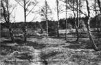 (380-065-041) Heelsum, Verzamelen, Ansichtkaarten | Nederland, Verzenden, Gelderland