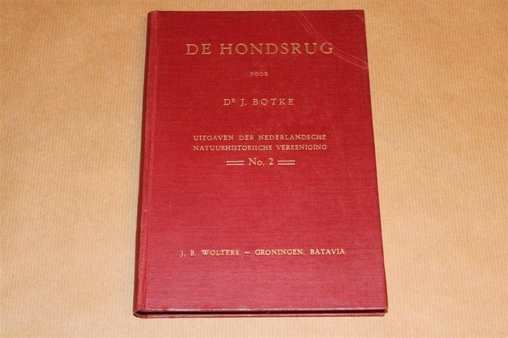 De Hondsrug - Dr. J. Botke - 1928, Boeken, Geschiedenis | Stad en Regio, Zo goed als nieuw, Ophalen of Verzenden