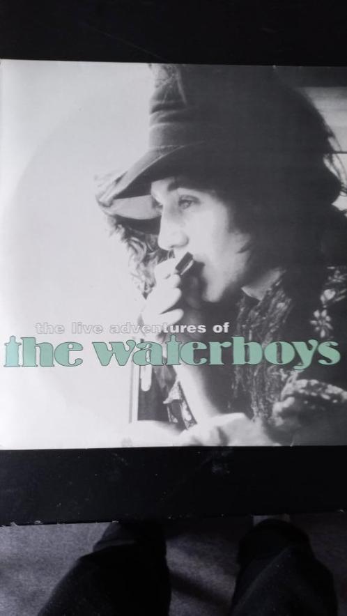 Vinyl The Waterboys, Cd's en Dvd's, Vinyl | Rock, Gebruikt, Verzenden
