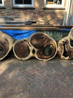 Suar organisch boomstambladen groot tot 250cm ,MEGASALE, Ophalen of Verzenden, Nieuw, Organisch robuust landelijk, 8 stoelen of meer