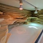 Terrarium 120  60 x 60 cm incl. 3D achterwand, lampen, etc., Dieren en Toebehoren, Reptielen en Amfibieën | Toebehoren, Ophalen