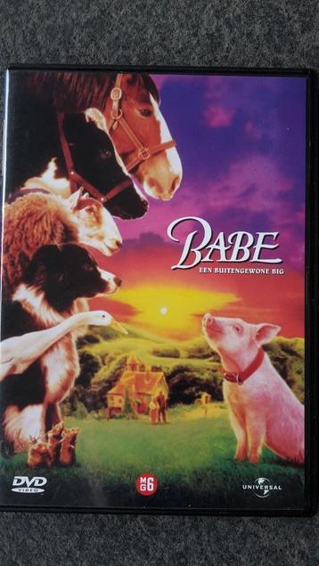 DVD Babe Een buitengewone big beschikbaar voor biedingen