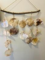 DECORATIE SCHELPEN, Ophalen, Schelp(en)